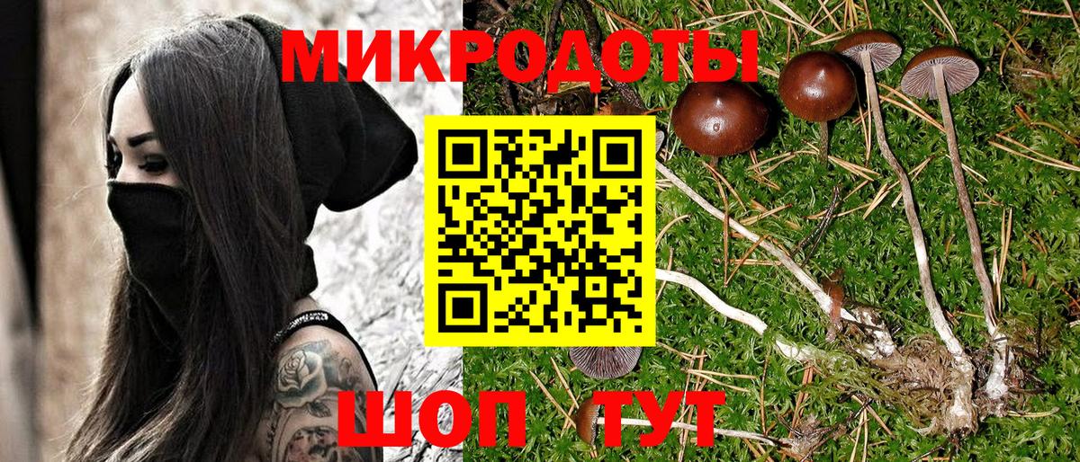 Тихвин  Галлюциногенные грибы мицелий  Псилоцибиновые грибы мицелий  Вход с VPN 