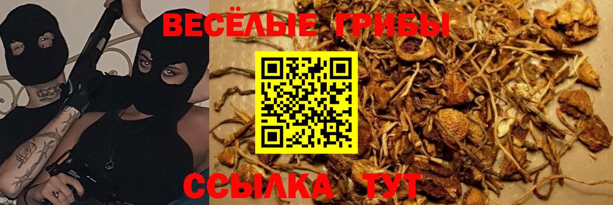 Галлюциногенные грибы MAGIC MUSHROOMS Тихвин