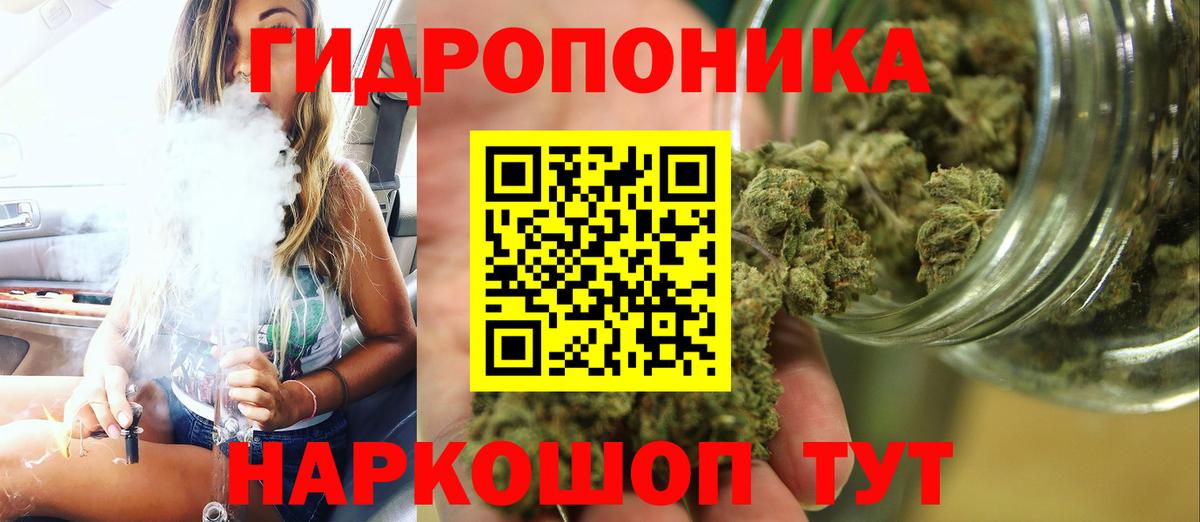 Тихвин  Бошки Шишки планчик  Каннабис Amnesia  Вход с VPN 